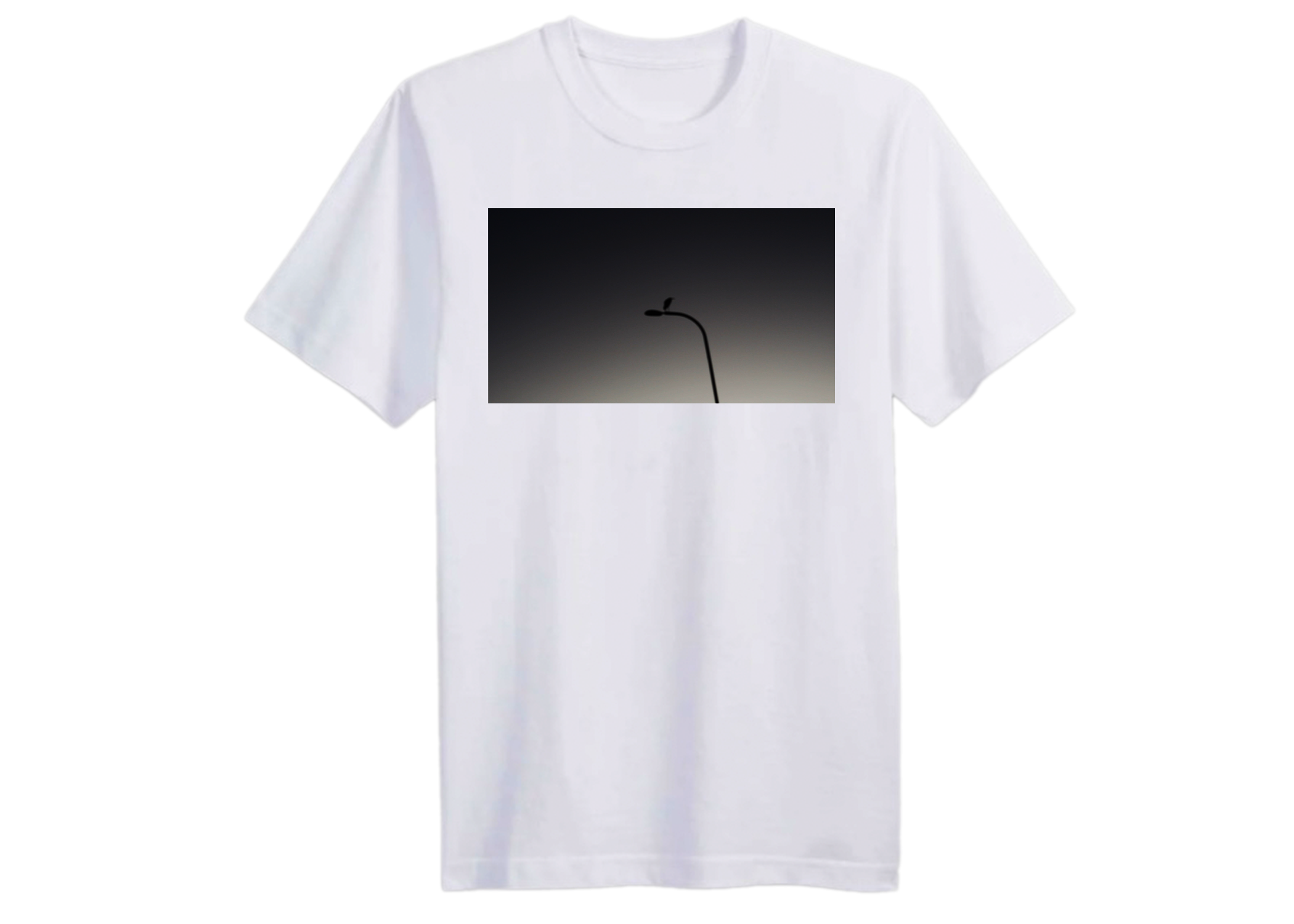 White T
